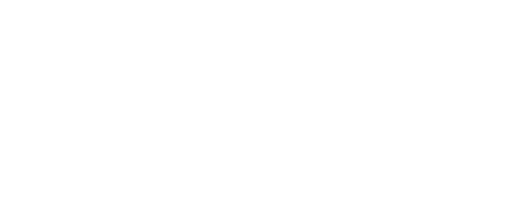 WordPress logotype alternative 1